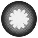 G&G Dolly Black contact lenses